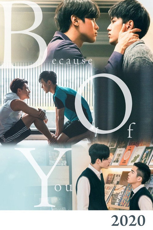 Because of You (2020) TV show poster