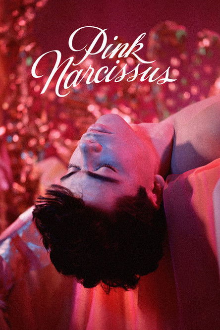 Pink Narcissus (1971) movie poster