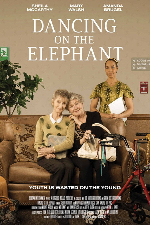 Dancing on the Elephant (2025) movie poster