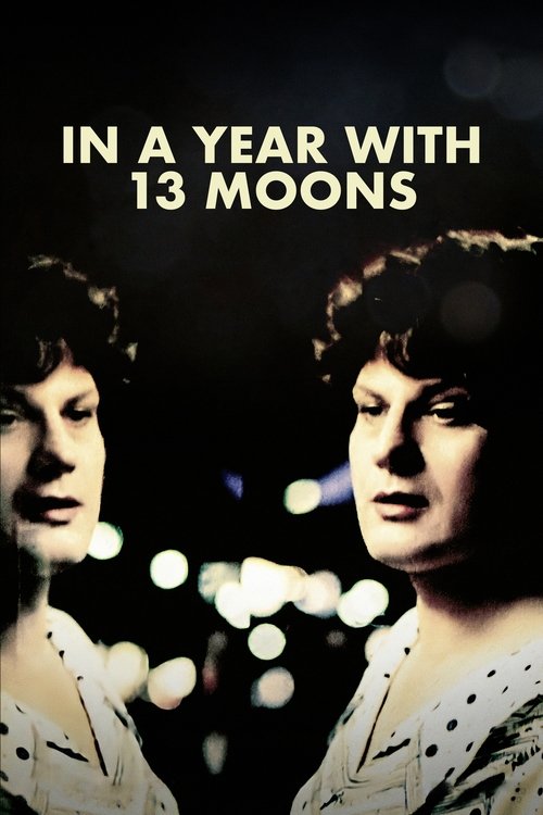 In a Year with 13 Moons (1978) movie poster