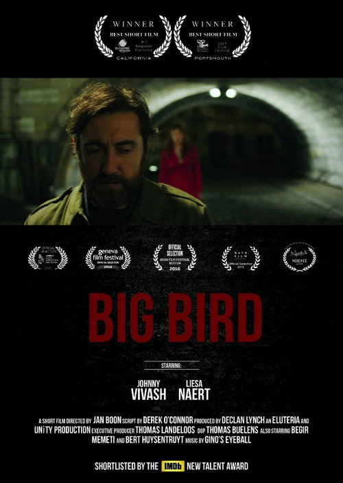 Big Bird (2015) movie poster