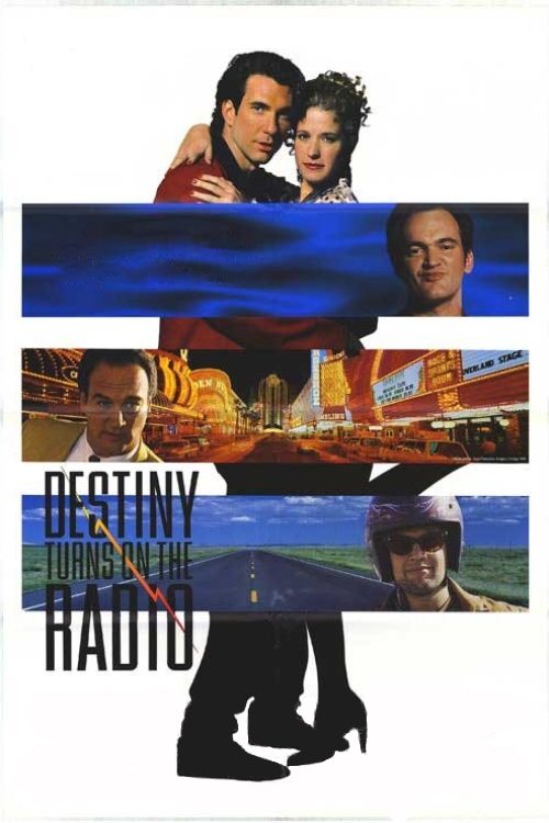 Destiny Turns on the Radio (1995) movie poster