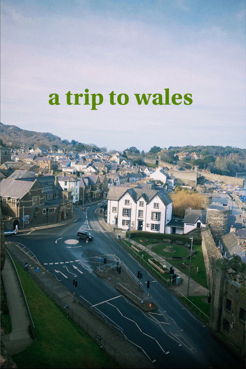 a trip to wales movie poster