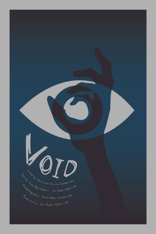 Void (2022) movie poster