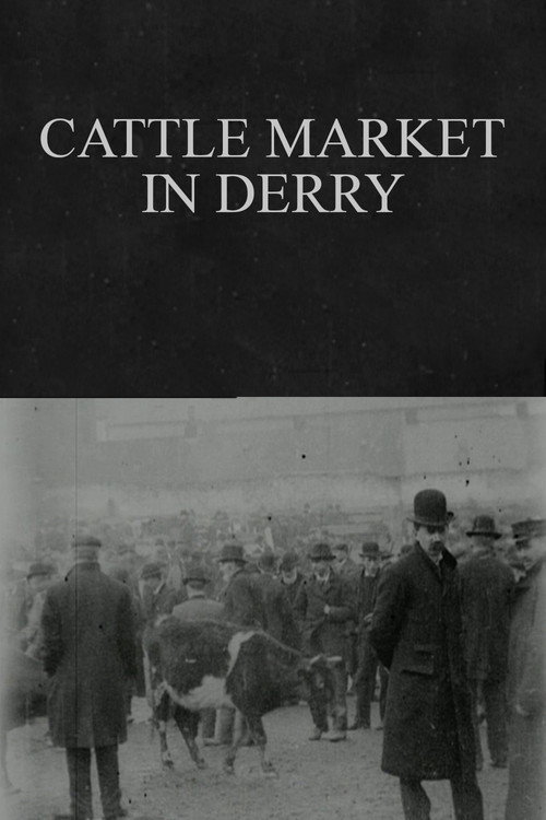 Cattle Market in Derry (1902) movie poster