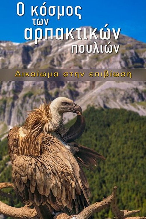 The World of Birds of Prey – Right to Survival (2024) movie poster