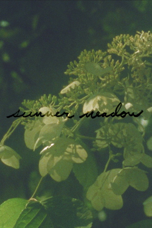 Summer Meadow (2024) movie poster