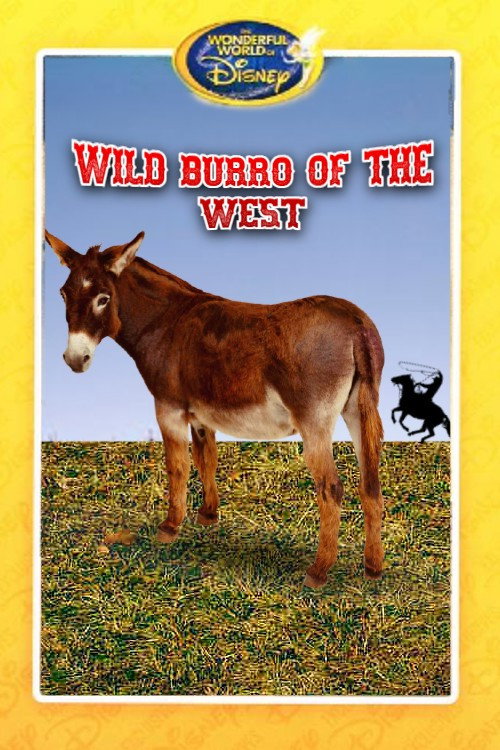 Wild Burro of the West (1960) movie poster