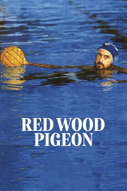 Palombella rossa (1989) movie poster