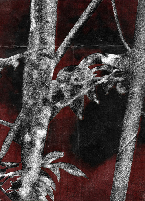 Ruídos Do Cerne (2025) movie poster