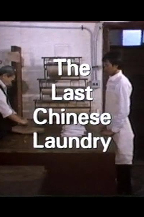 The Last Chinese Laundry (1987) movie poster