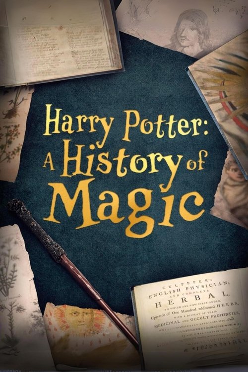 Harry Potter: A History Of Magic (2017) movie poster