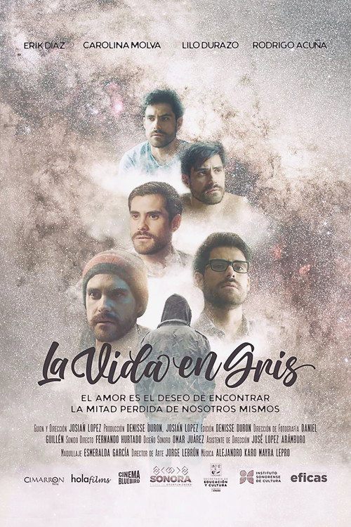 La vida en gris (2024) movie poster