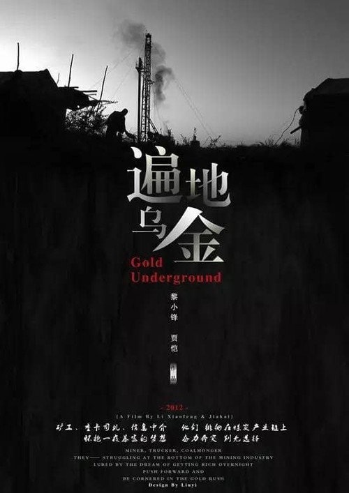 Gold Underground (2011) movie poster