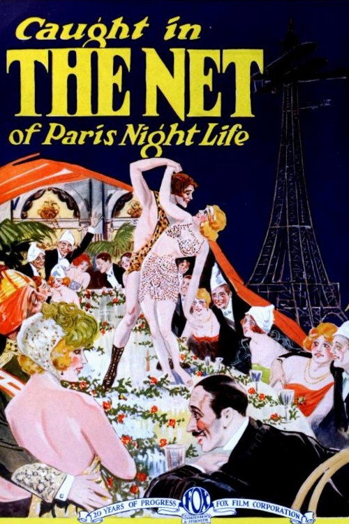 The Net (1923) movie poster