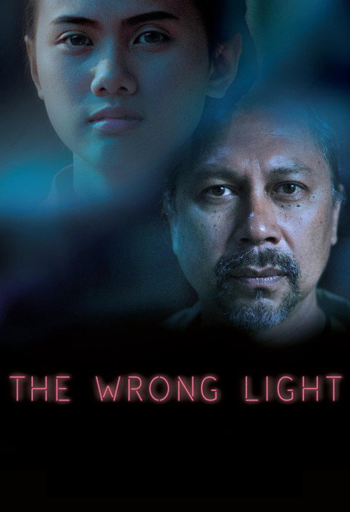The Wrong Light (2017) movie poster