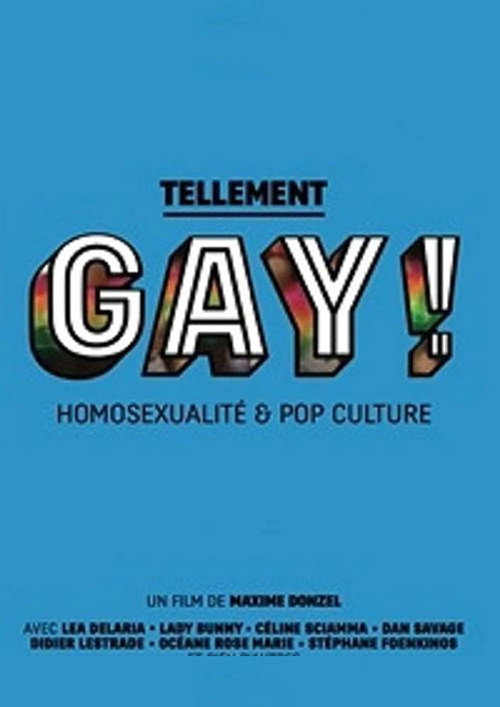 Tellement gay ! Homosexualité & pop culture (2015) TV show poster