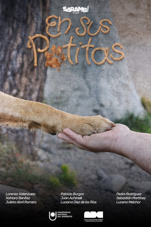 En Sus Patitas movie poster