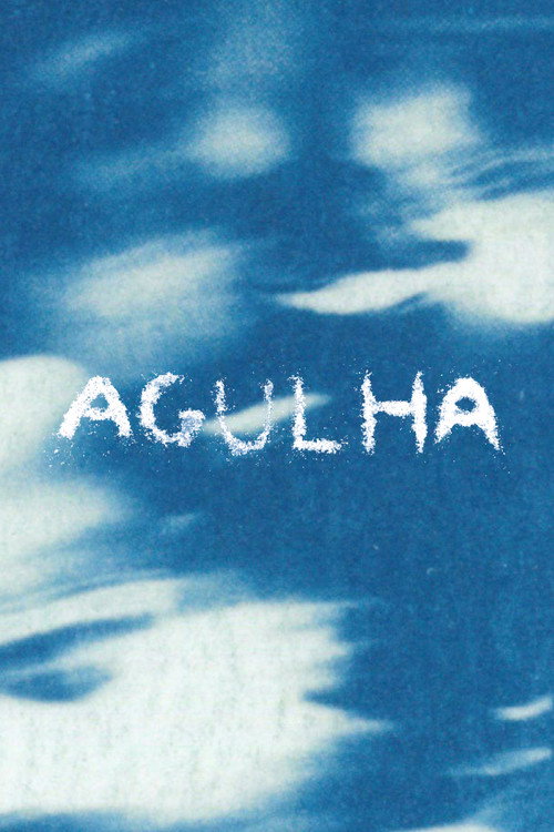 AGULHA (2026) movie poster