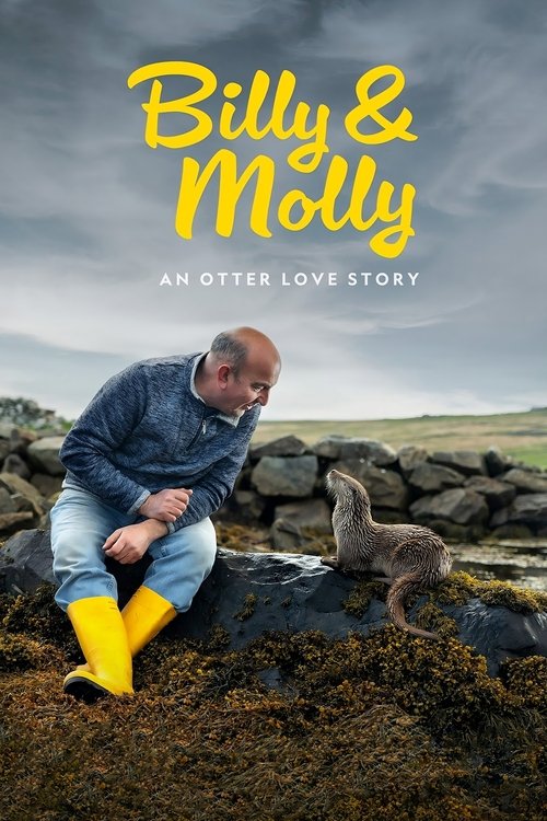 Billy & Molly: An Otter Love Story (2024) movie poster