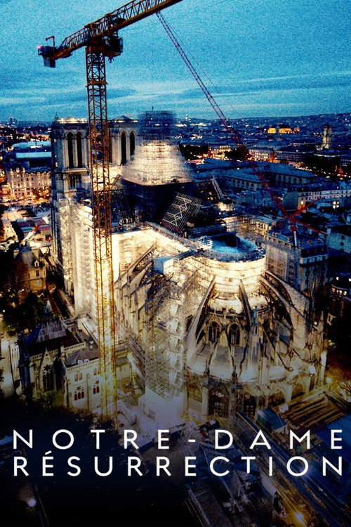 Notre-Dame Résurrection (2024) movie poster