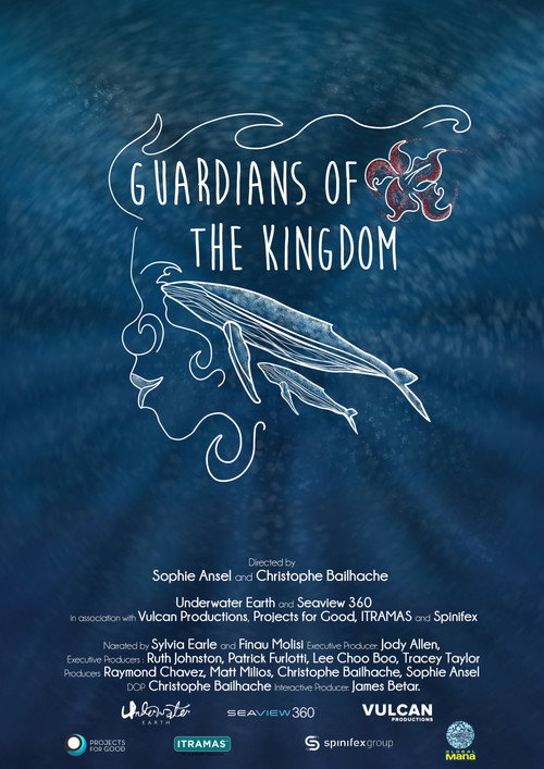 Guardians of the Kingdom (2020) movie poster