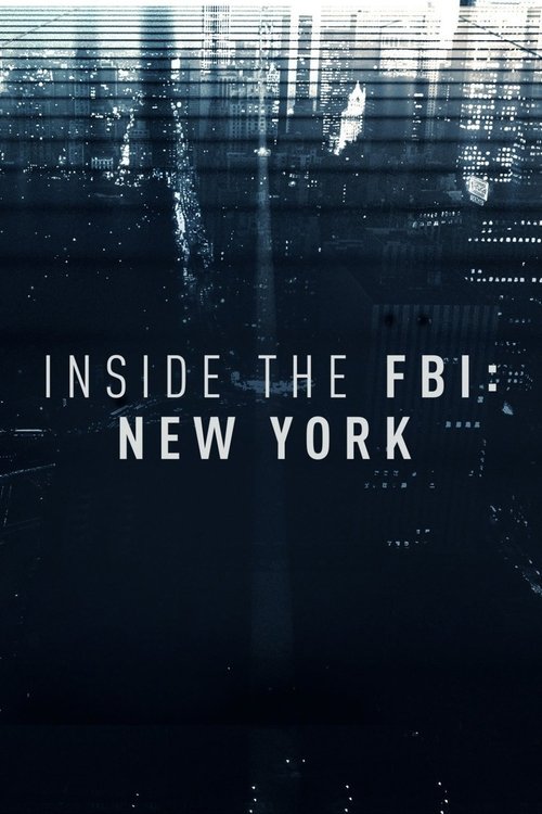 Inside the FBI: New York (2017) TV show poster
