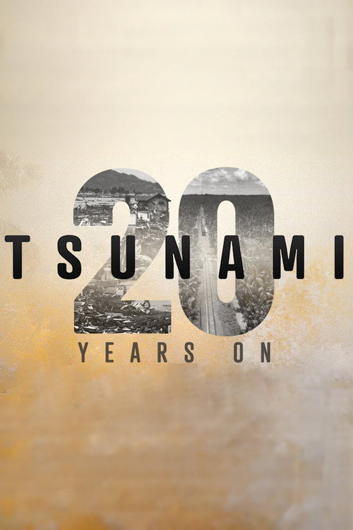 Tsunami: 20 Years On (2024) movie poster