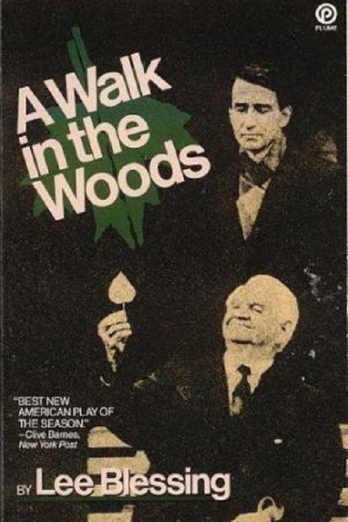 A Walk in the Woods (1988) movie poster
