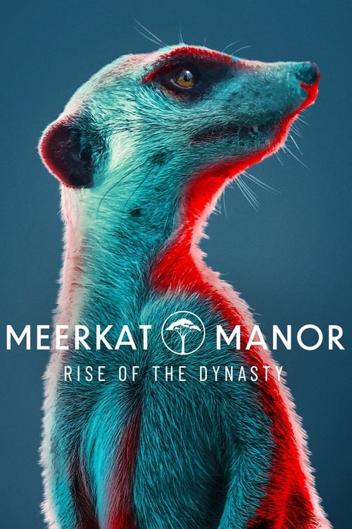 Meerkat Manor: Rise of the Dynasty (2021) TV show poster