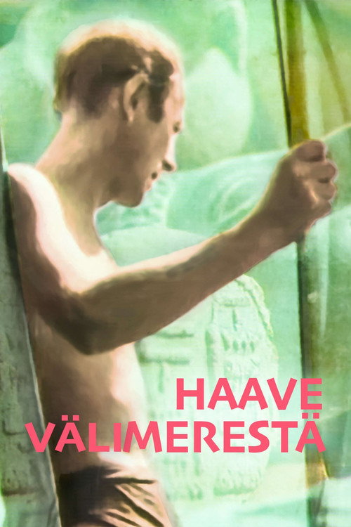 A Dream of the Mediterranean (1991) movie poster