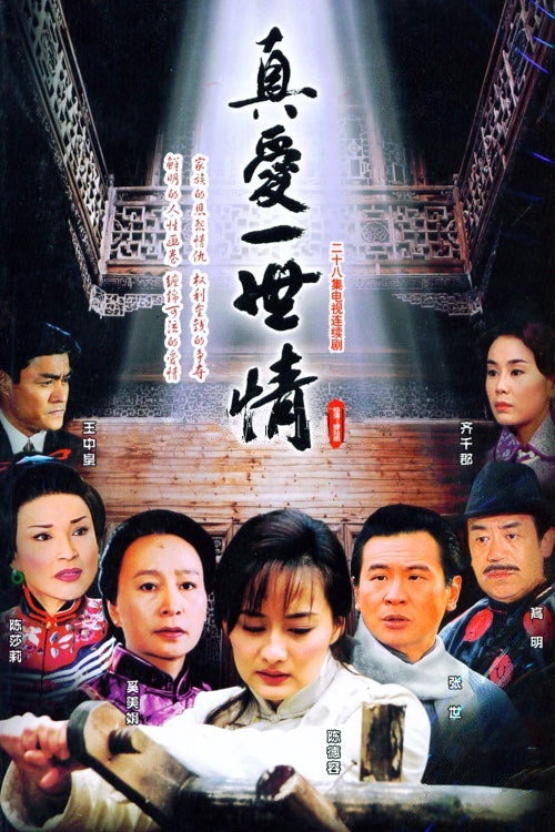 真爱一世情 (2004) TV show poster