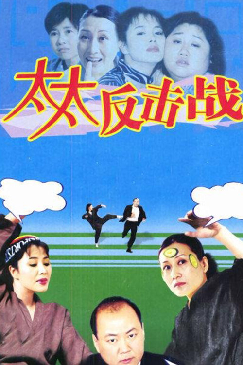 太太反击战 (2003) TV show poster