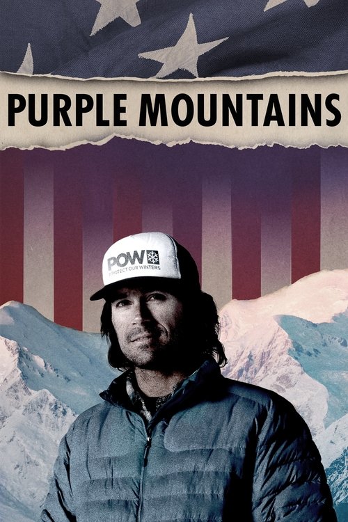 Purple Mountains (2020) movie poster