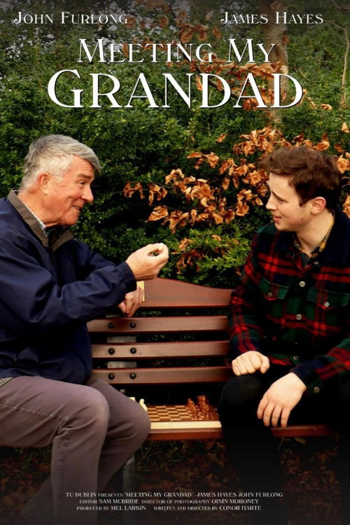 Meeting My Grandad (2025) movie poster