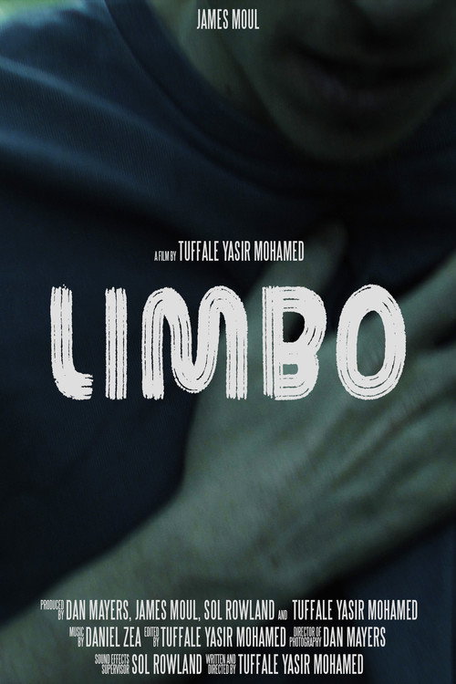 Limbo (2025) movie poster