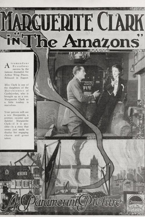 The Amazons (1917) movie poster