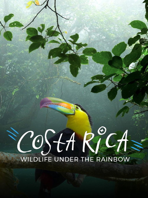 Costa Rica: Wildlife Under The Rainbow (2018) movie poster