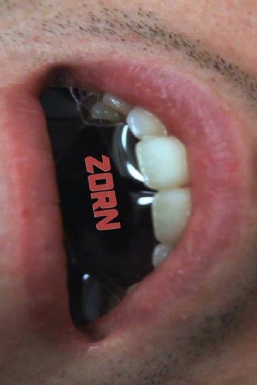 Zorn (2015) movie poster