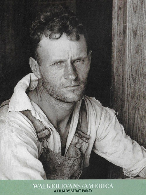 Walker Evans / America (2000) movie poster