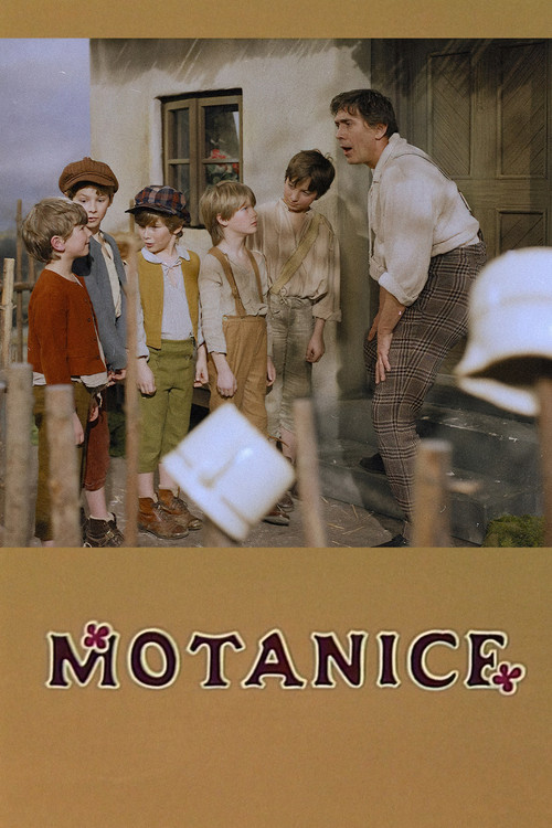 Motanice (1988) movie poster