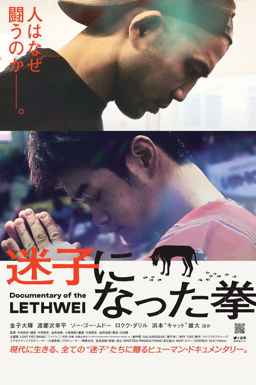 Lost Fist (2021) movie poster