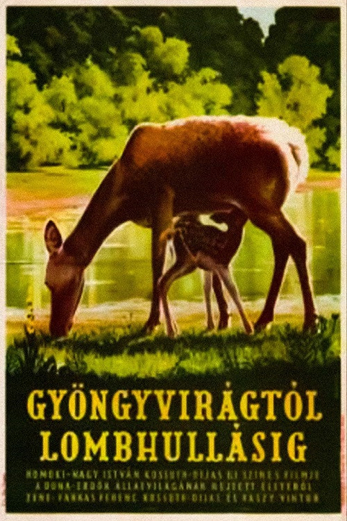 From Blossom Time to Autumn Frost (1953) movie poster