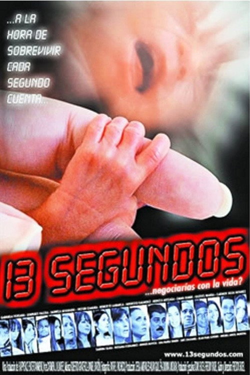 13 segundos (2007) movie poster