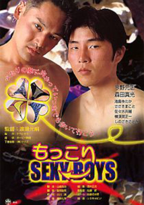 The Silk & The Secrets (2001) movie poster