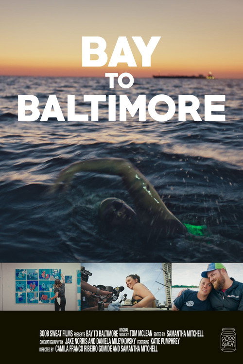 Bay to Baltimore (2025) movie poster