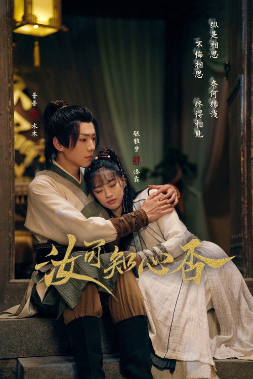 How Can I Love You (2024) TV show poster