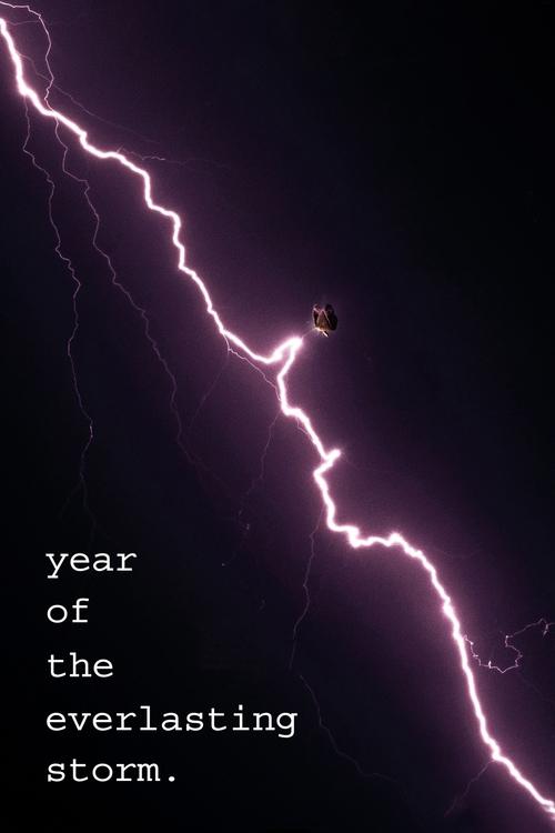 The Year of the Everlasting Storm (2021) movie poster