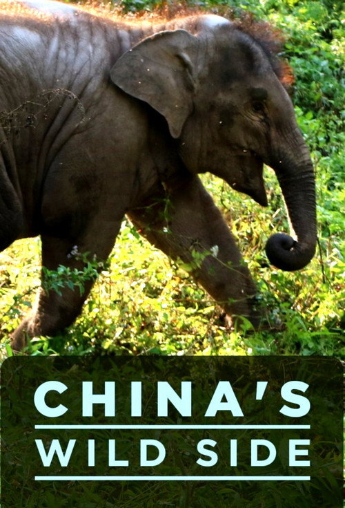 China's Wild Side (2017) TV show poster
