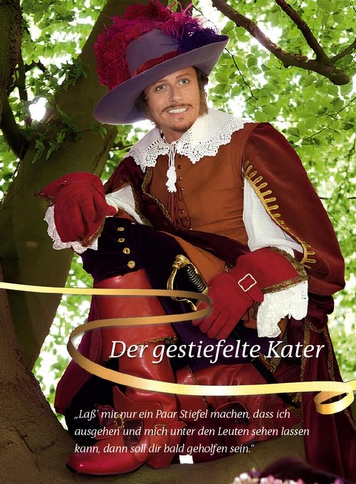 Der gestiefelte Kater (2009) movie poster